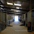 Prefabricated steel horse shed agricultural building